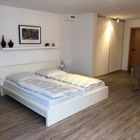 Ferienwohnung Riesterer Freiburg im Breisgau Eksteriør billede